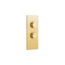 Aquabrass Thermostatic Shower Valve Trim T12001, Chrome - image 4