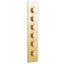 Aquabrass Thermostatic Shower Trim T12005 Vertical, Chrome - image 4