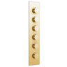 Aquabrass Thermostatic Shower Trim T12005 Vertical, Chrome - image 4