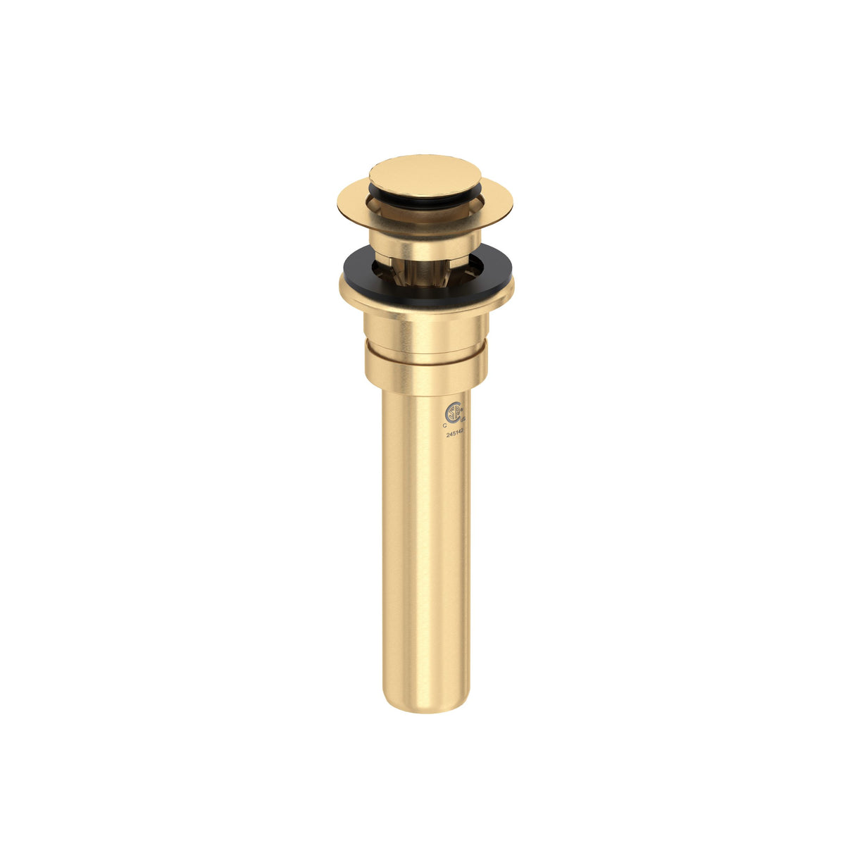 Push Drain With Overflow