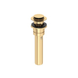 Push Drain With Overflow