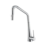 Kitchen Faucet - Tink D2