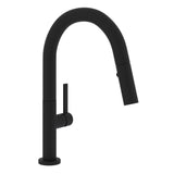 Lux™ Pull-down Bar/food Prep Kitchen Faucet R7581slm-2