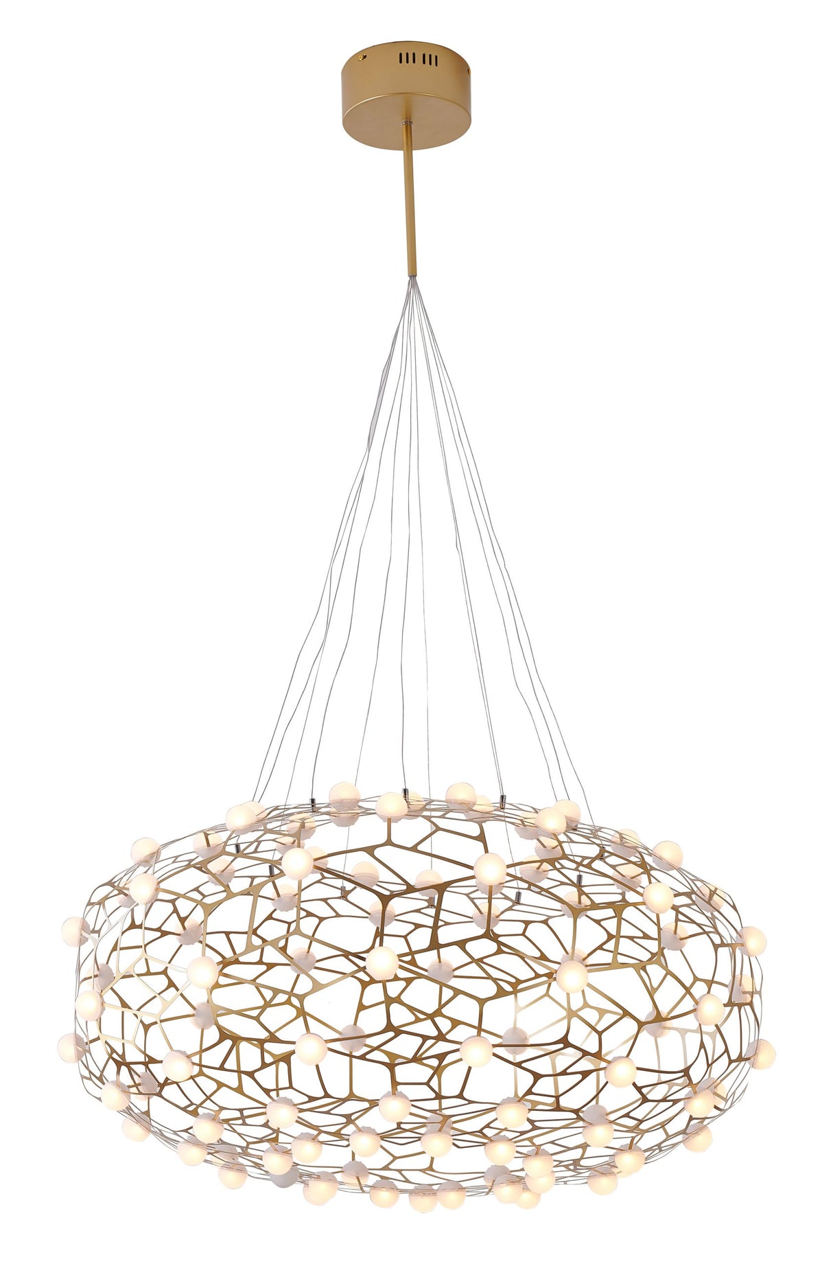 LED Chandelier FIT06C31G