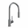 Lux™ Pull-down Kitchen Faucet R7520