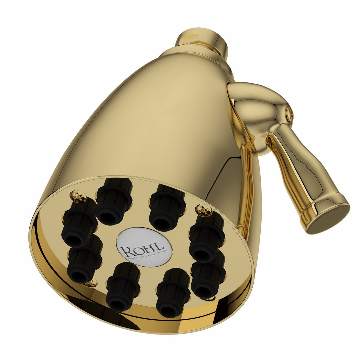 4" Multi-function Showerhead Bi00059