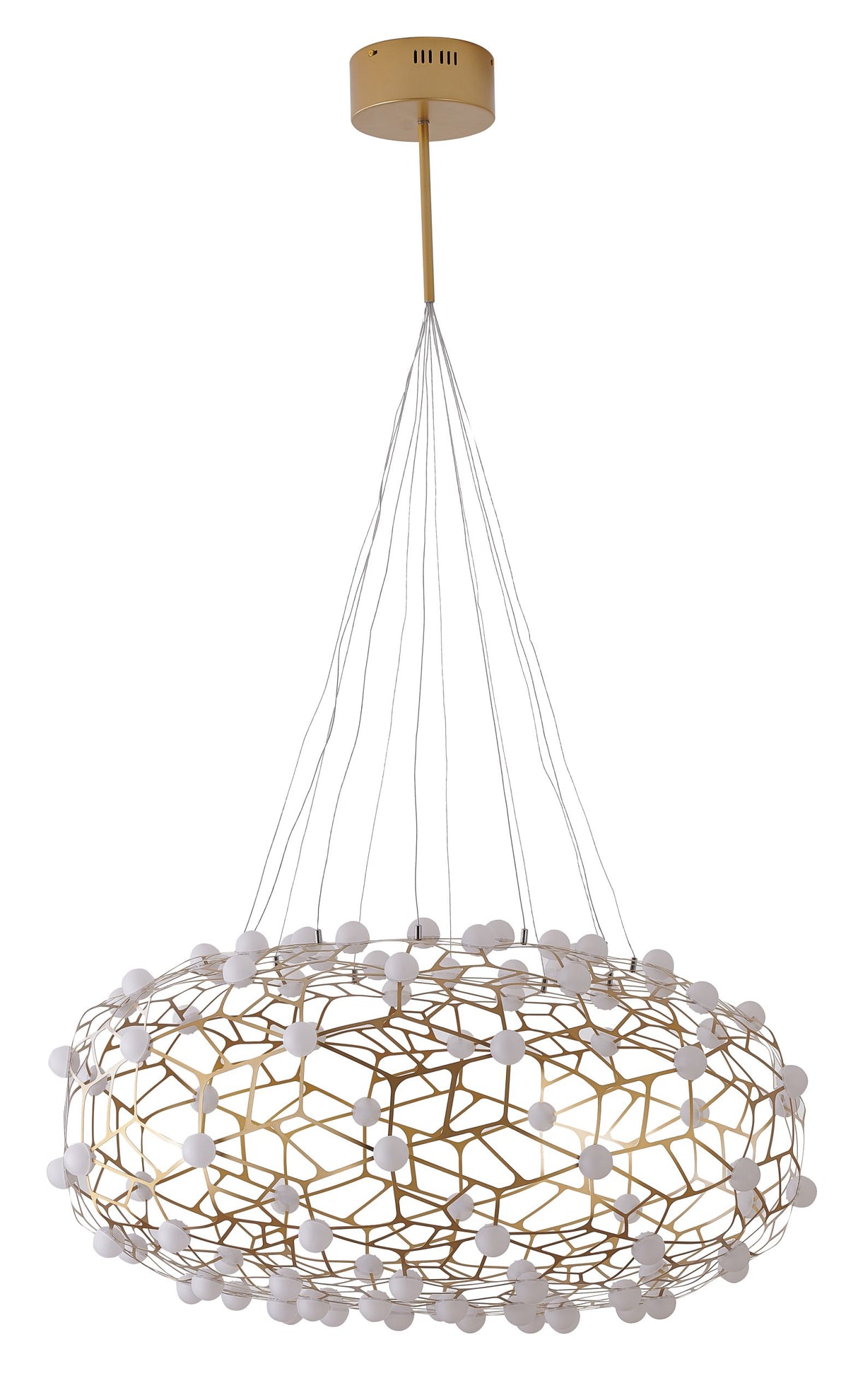 LED Chandelier FIT06C31G