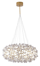 LED Chandelier FIT06C31G