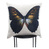 Butterfly 20 W x 20 H x 5 D