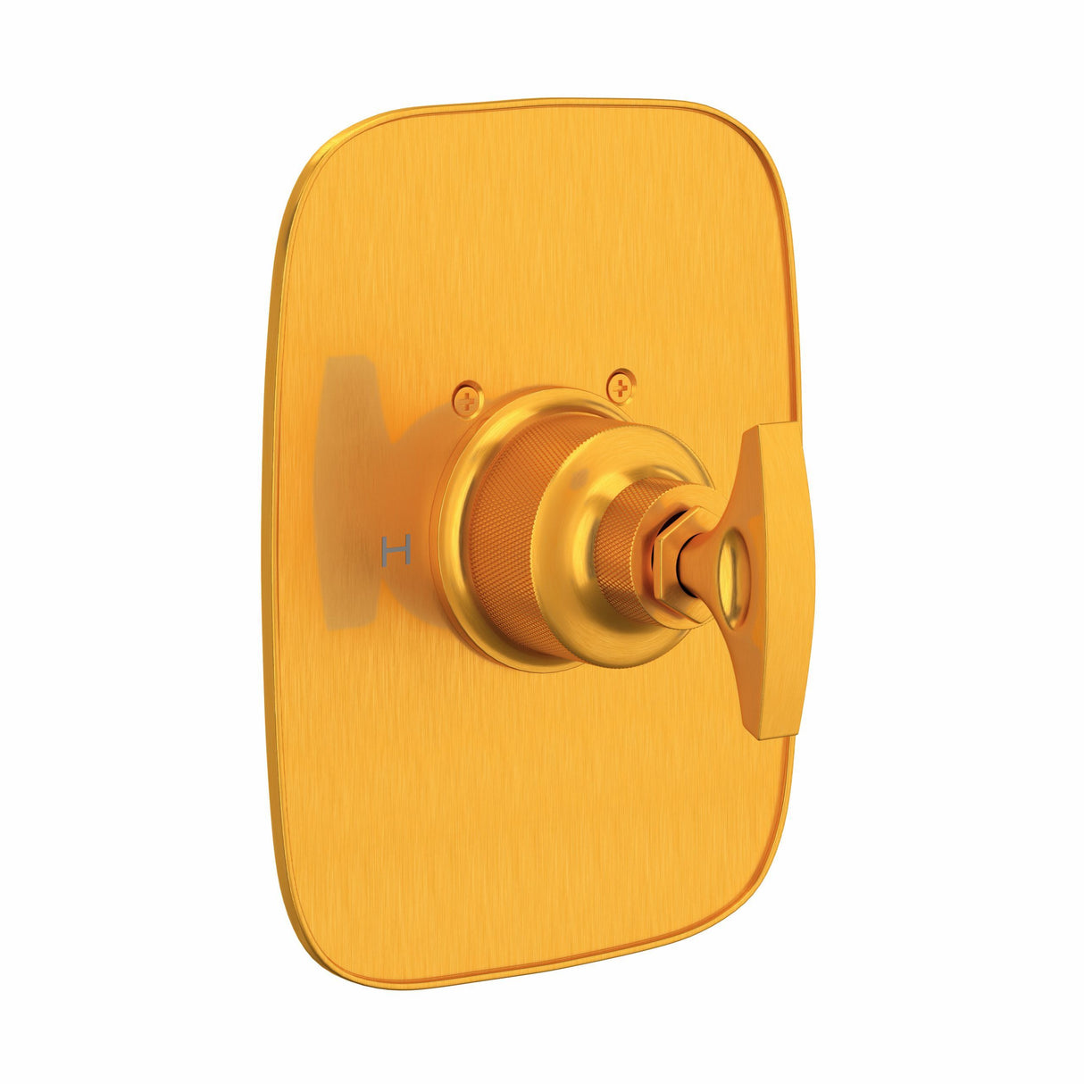 Graceline® 3/4" Thermostatic Trim Without Volume Control Mb2040ndm