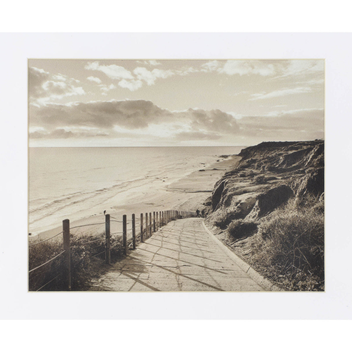 TORREYS 20/20/20/24" W x 16/16/26/24" H x 1.2" D