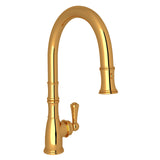 Georgian Era Pull-Down Kitchen Faucet