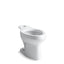 Wellworth® Elongated toilet bowl