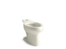 Wellworth® Elongated toilet bowl