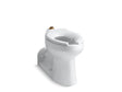 Anglesey™ Floor-mount top spud flushometer bowl with bedpan lugs