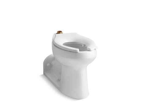 Anglesey™ Floor-mount top spud flushometer bowl with bedpan lugs