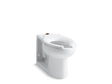 Anglesey™ Floor-mount top spud flushometer bowl with bedpan lugs