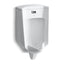 Bardon™ Wall-hung rear-spud touchless urinal, 0.5 gpf