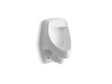 Dexter™ Siphon-jet half-stall 0.5–1.0 gpf urinal, rear spud