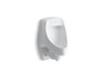 Dexter™ Siphon-jet half-stall 0.5–1.0 gpf urinal, rear spud