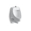 Dexter™ Siphon-jet wall-mount 0.5 or 1.0 gpf urinal with top spud