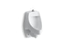 Dexter™ Siphon-jet wall-mount 0.5 or 1.0 gpf urinal with top spud