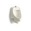 Dexter™ Siphon-jet wall-mount 0.5 or 1.0 gpf urinal with top spud