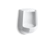 Freshman™ Siphon-jet half-stall 1.0 gpf urinal, rear spud