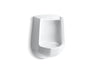 Freshman™ Siphon-jet half-stall 1.0 gpf urinal, rear spud