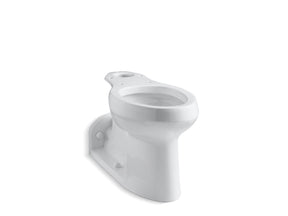 Barrington™ Elongated toilet bowl
