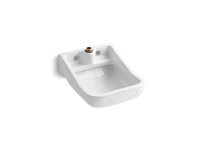 Camerton™ 25" wall-mount blow-out service sink