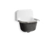Bannon™ 22-1/4" x 18-1/4" wall-mount or P-trap mount service sink with rim guard and blank back