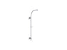 HydroRail®-R Arch shower column