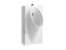 Steward® Washout half-stall 0.125 gpf urinal, top spud