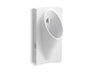 Steward® Washout half-stall 0.125 gpf urinal, rear spud