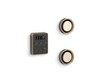 Invigoration® Series Tandem steam generator control kit