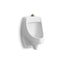 Dexter™ Washout half-stall 0.125 gpf urinal, top spud