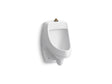 Dexter™ Washout half-stall 0.125 gpf urinal, top spud