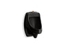 Dexter™ Washout half-stall 0.125 gpf urinal, top spud