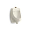 Dexter™ Washout half-stall 0.125 gpf urinal, top spud