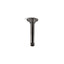 6" ceiling-mount single-function rainhead arm and flange