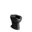 Wellcomme™ Ultra Floor-mount top spud flushometer bowl with bedpan lugs