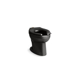 Wellcomme™ Ultra Floor-mount top spud flushometer bowl with bedpan lugs