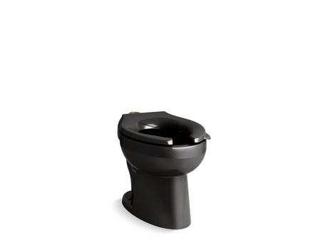 Wellcomme™ Ultra Floor-mount top spud flushometer bowl with bedpan lugs