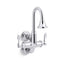 Triton® Bowe® Cannock™ Wall-mount service sink faucet, 12 gpm