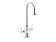 Triton® Bowe® 1.0 gpm monoblock gooseneck bathroom sink faucet with aerated flow and lever handles, drain not included