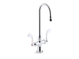 Triton® Bowe® 1.0 gpm monoblock gooseneck bathroom sink faucet with laminar flow and wristblade handles, drain not included