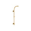 HydroRail®-R Arch shower column