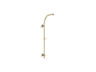 HydroRail®-R Arch shower column