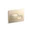 Cue® Flush actuator plate for 2"x 4" in-wall tank and carrier system